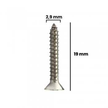 PARAFUSO AUTO ATARRAXANTE CB CHATA PHILLIPS 2,9X19MM (CX 100 UNIDADES)
